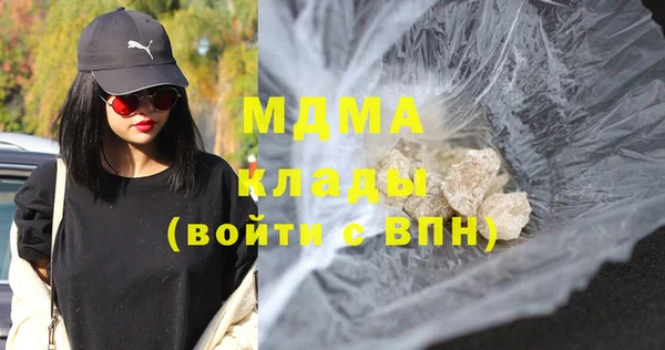шишки Кодинск