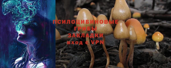 mdpv Балахна