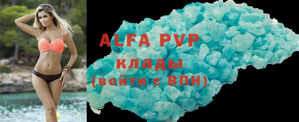 гашик Козловка