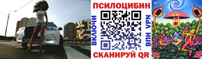 blacksprut вход Гагарин Псилоцибиновые грибы Psilocybe